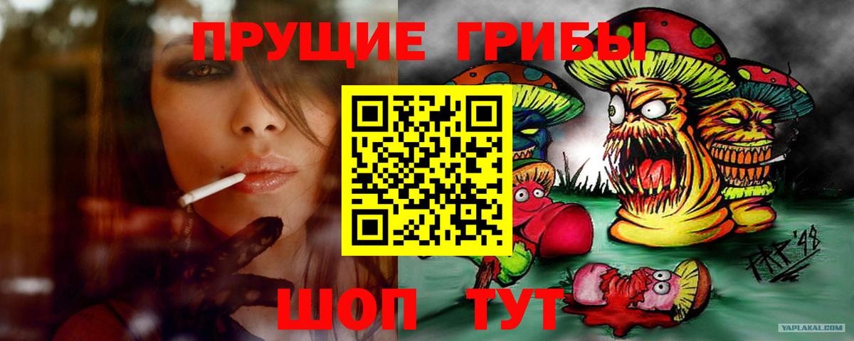 Галлюциногенные грибы Psilocybe  Вход с VPN  Спасск-Дальний 